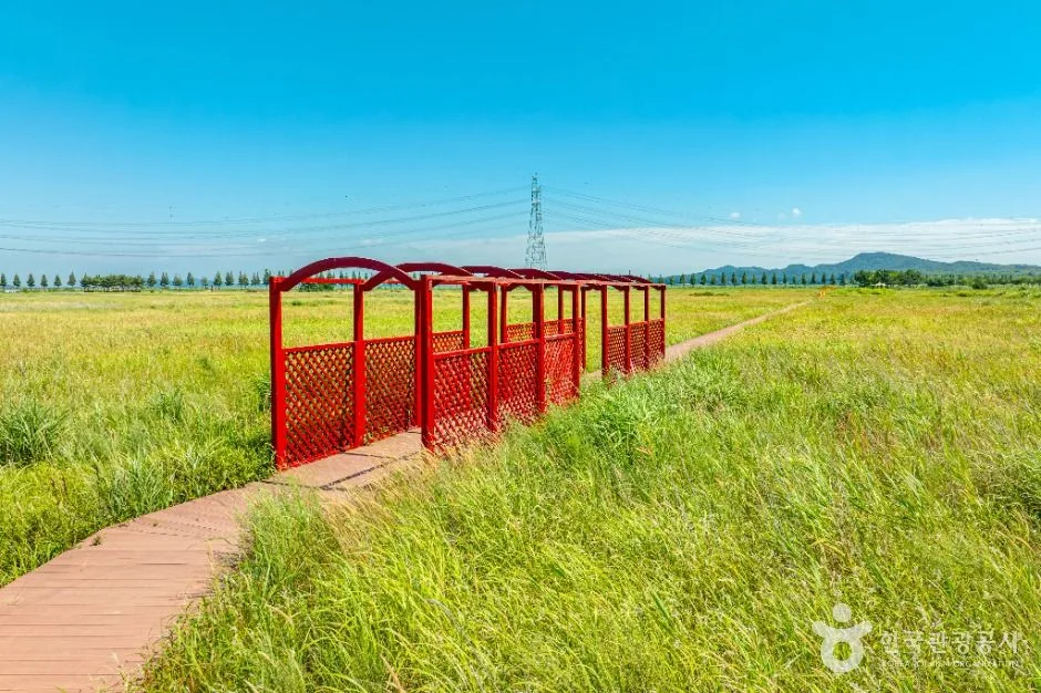 안산_대부바다향기테마파크 (6)