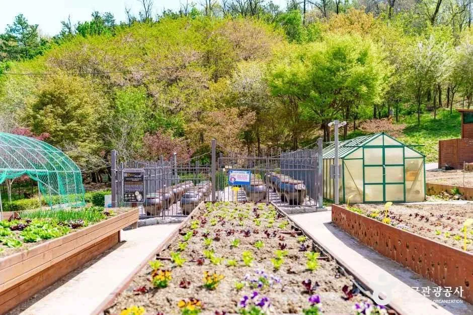 서울_양천도시농업공원 (3).jpg