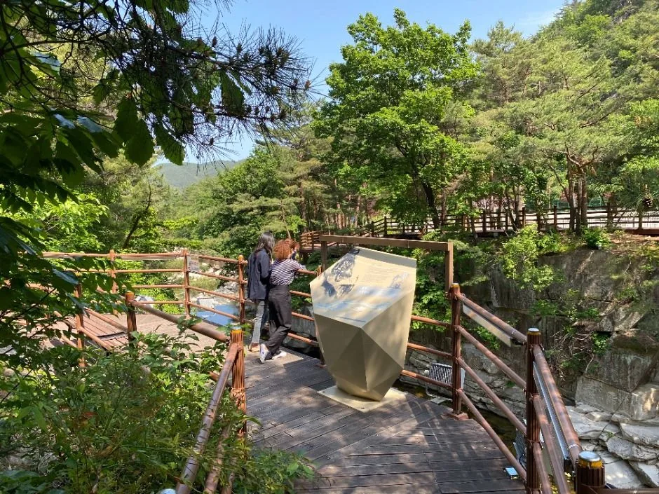 동해_무릉 달빛 호암소 (6)