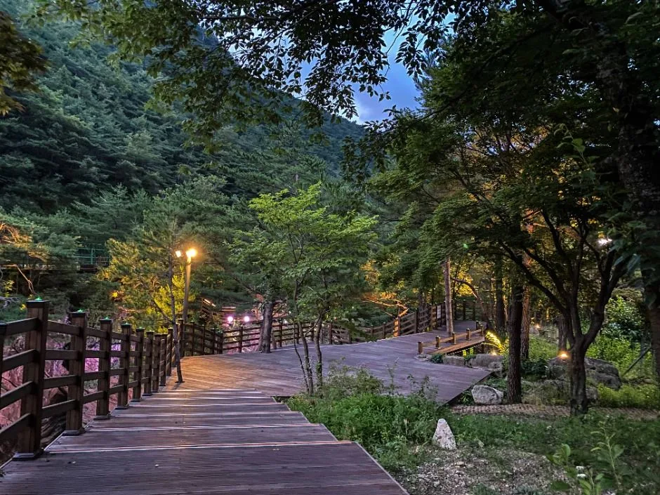 동해_무릉 달빛 호암소 (8)