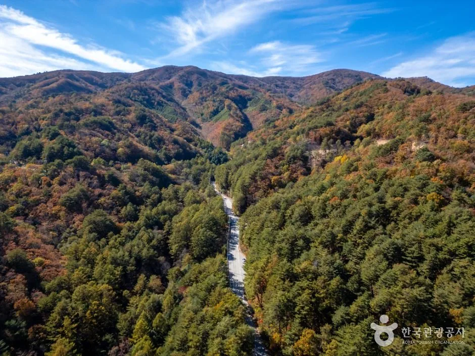 봉화_청옥산(봉화) (5)