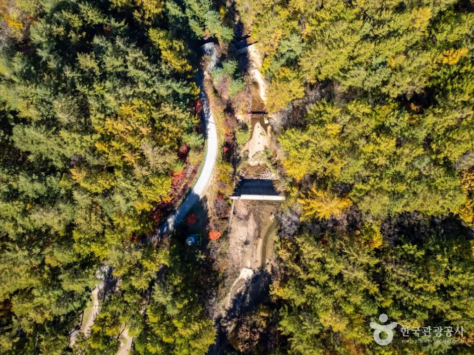 봉화_청옥산(봉화) (2)