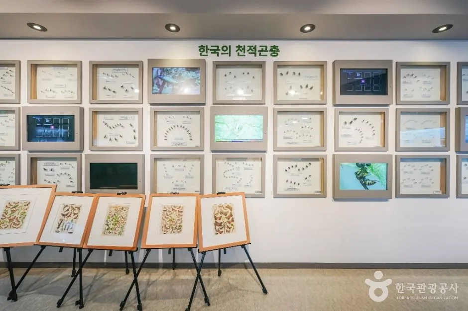 거창_천적생태관 (4)