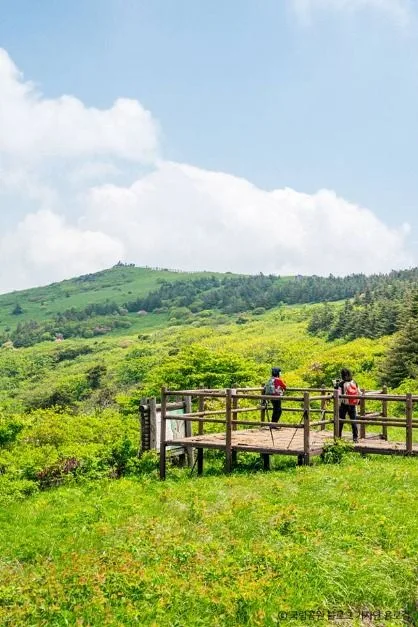영주_소백산국립공원(경북) (5)