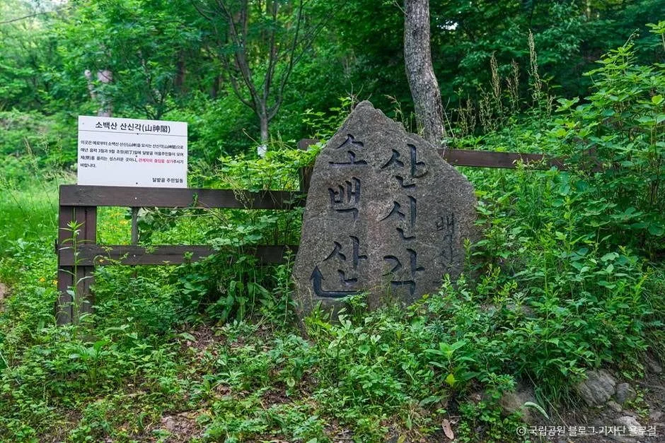 영주_소백산국립공원(경북) (10)