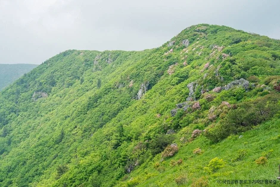 영주_소백산국립공원(경북) (6)