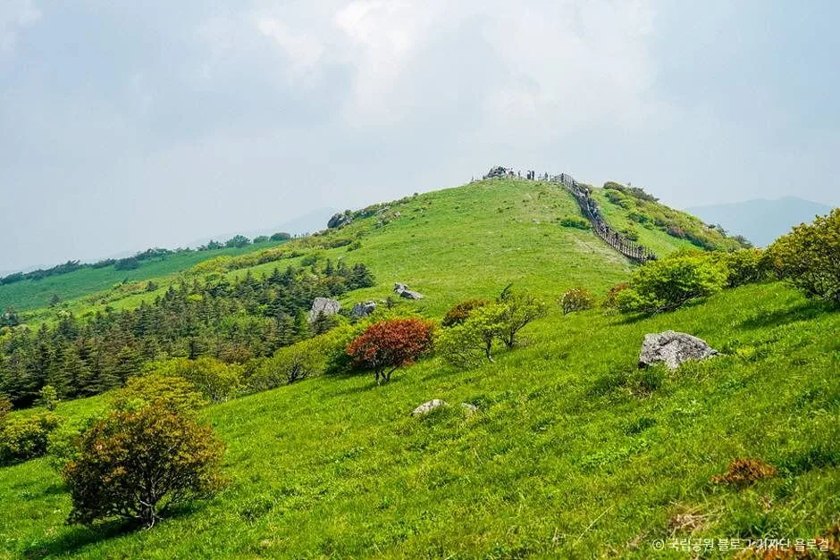 영주_소백산국립공원(경북) (4)