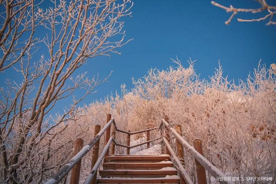영주_소백산국립공원(경북) (9)