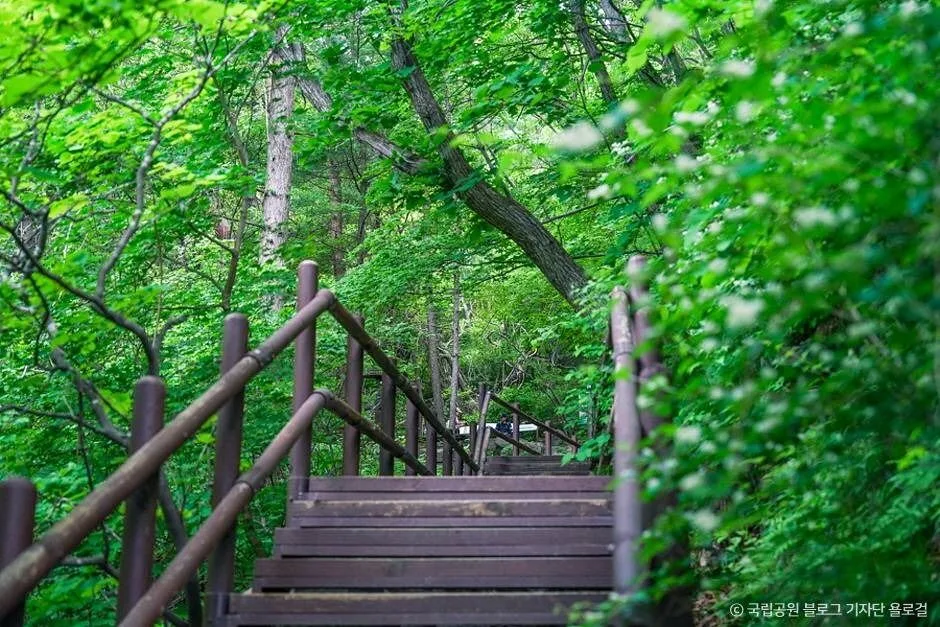 영주_소백산국립공원(경북) (13)