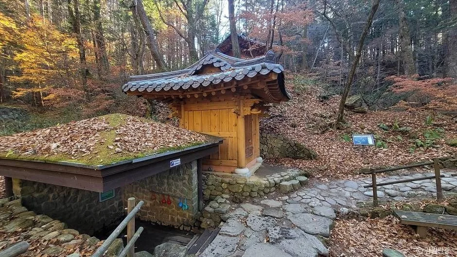 평창_밀브릿지 (4)