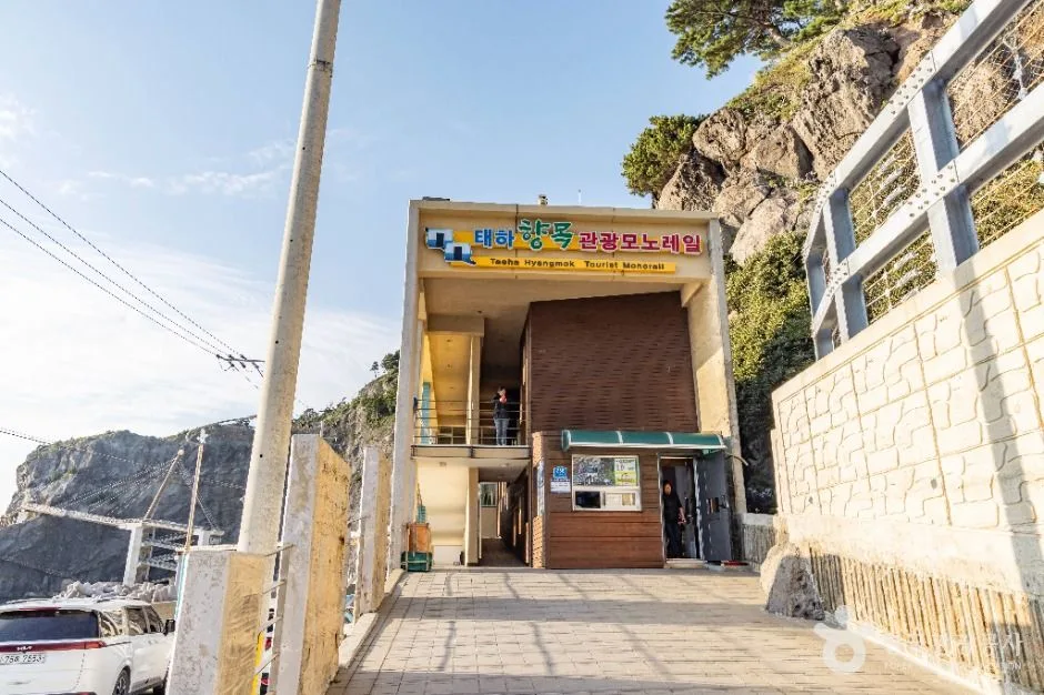 울릉_태하향목 관광모노레일 (5)