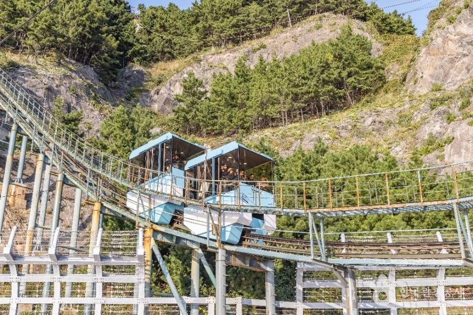 울릉_태하향목 관광모노레일 (2)