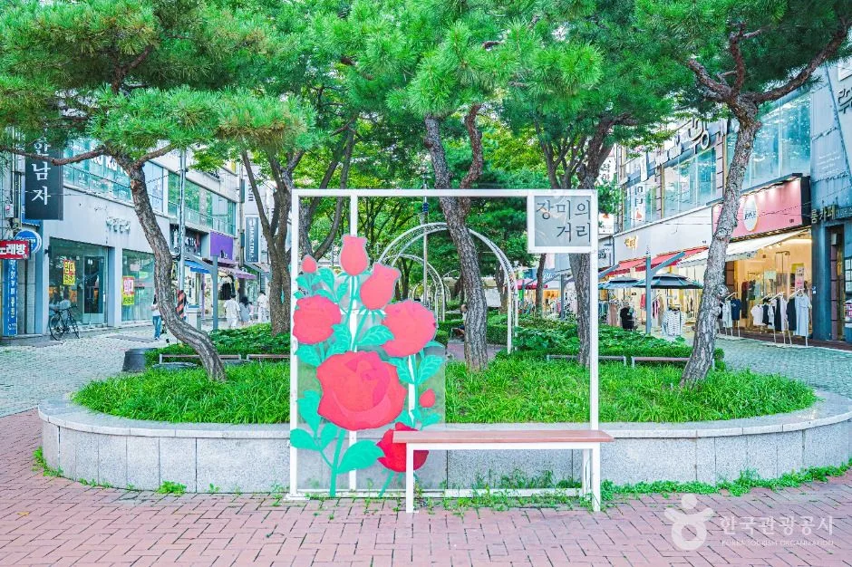 목포_장미의거리 (4)