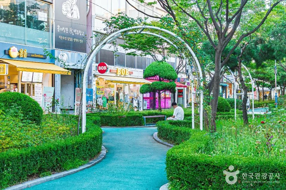 목포_장미의거리 (3)