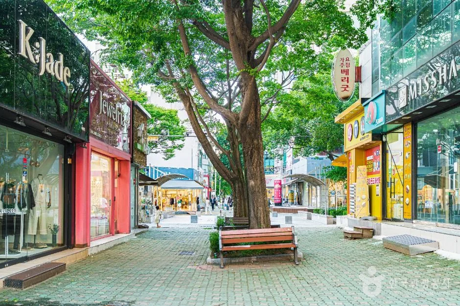 목포_장미의거리 (1)