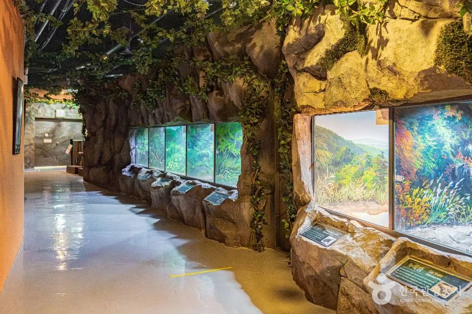 함평_함평양서파충류생태공원_외부_1.jpg