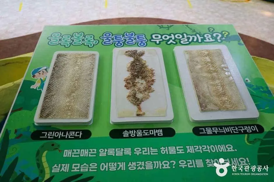 함평_함평양서파충류생태공원 (6)