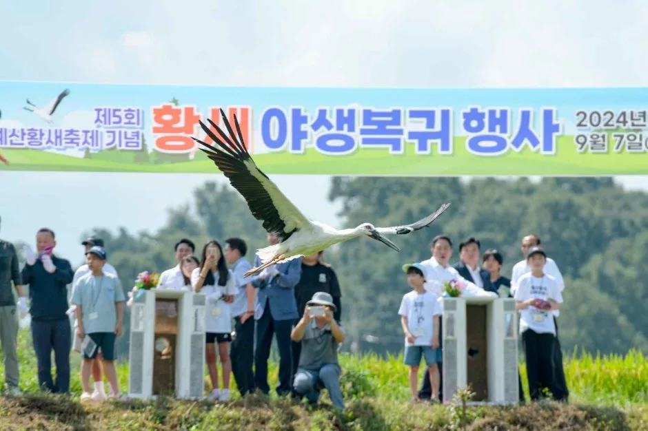 2026 예산황새축제 (1).jpg