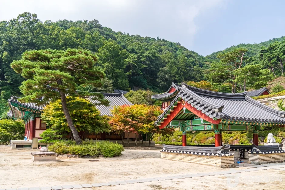 석종사(충주) (2)