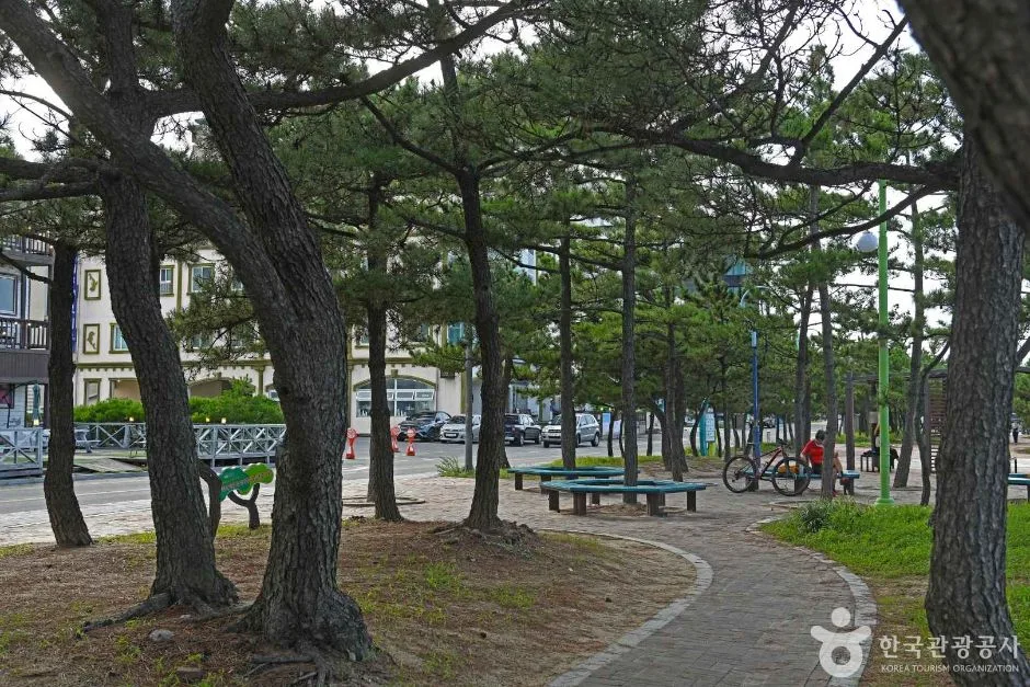 강릉_강릉 안목해맞이공원 (5)