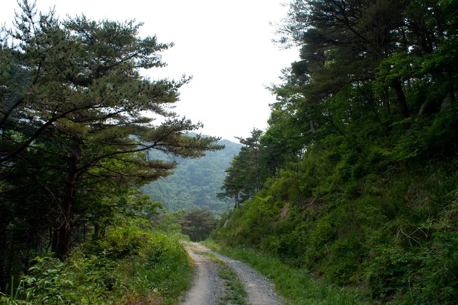 경남_하동군_먹점마을 (4).jpg