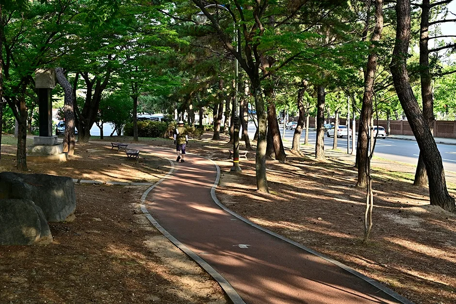 창원_용지공원(용지문화공원) (1).jpg