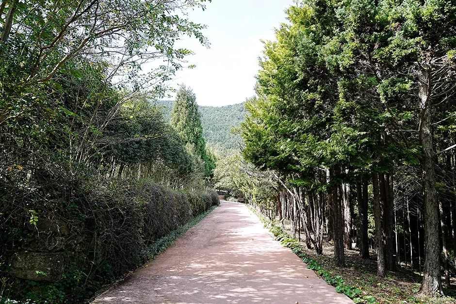 경상남도_통영시_산유골수목공원 3