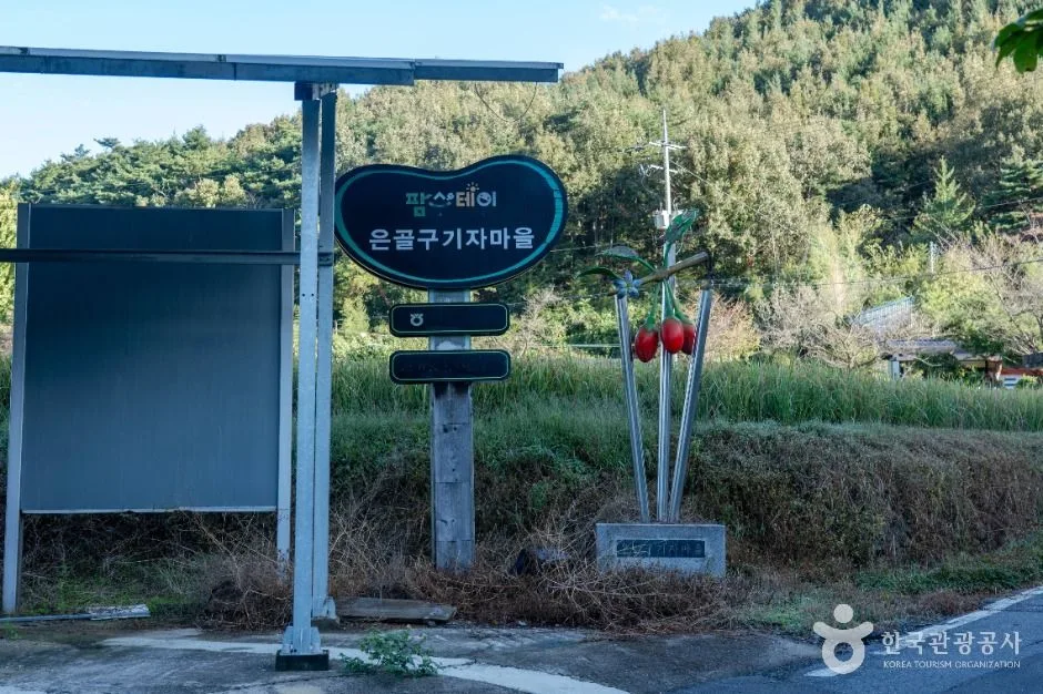 청양_청양 은골구기자마을 (1)