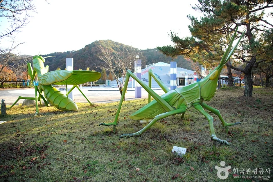 화천생태영상센터 (17)