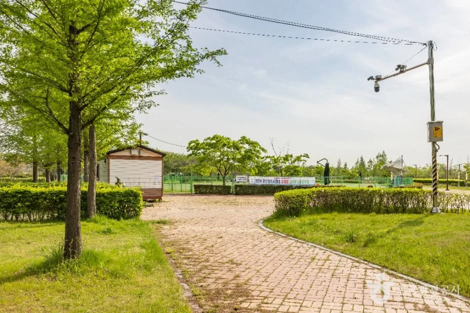 부산_대저수문생태공원 (4)