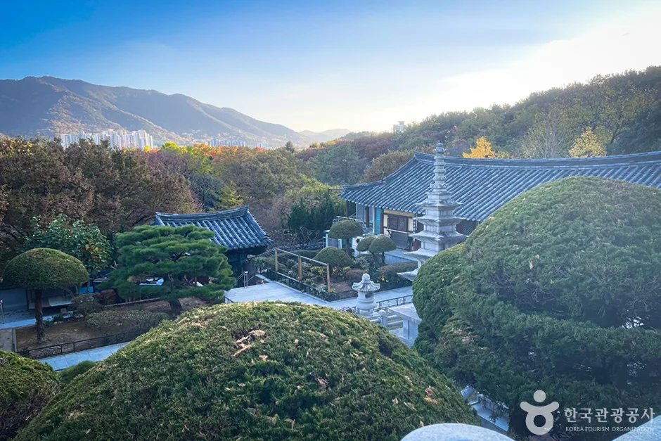 금용사 (14)