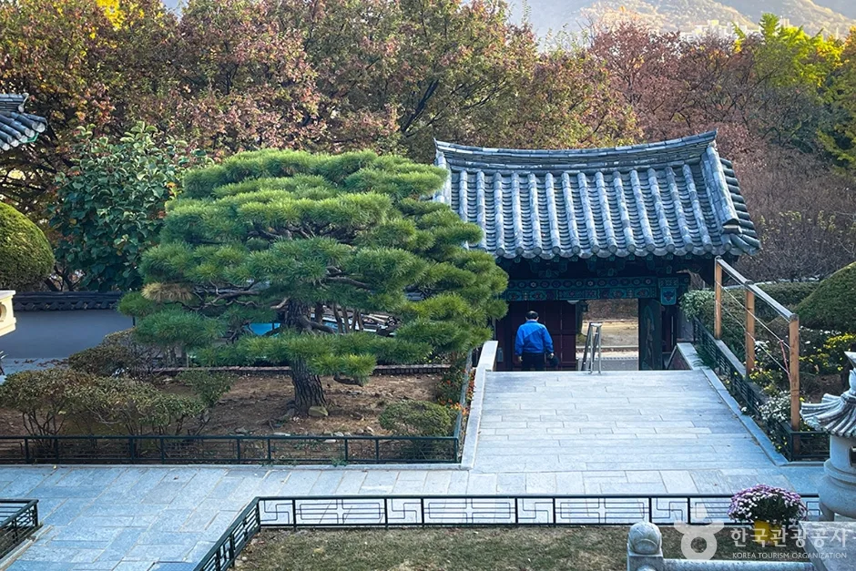 금용사 (12)