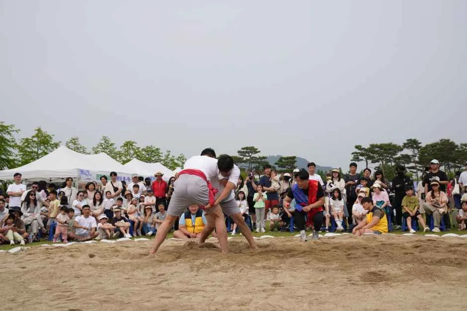 2026 세종단오제 (4).JPG