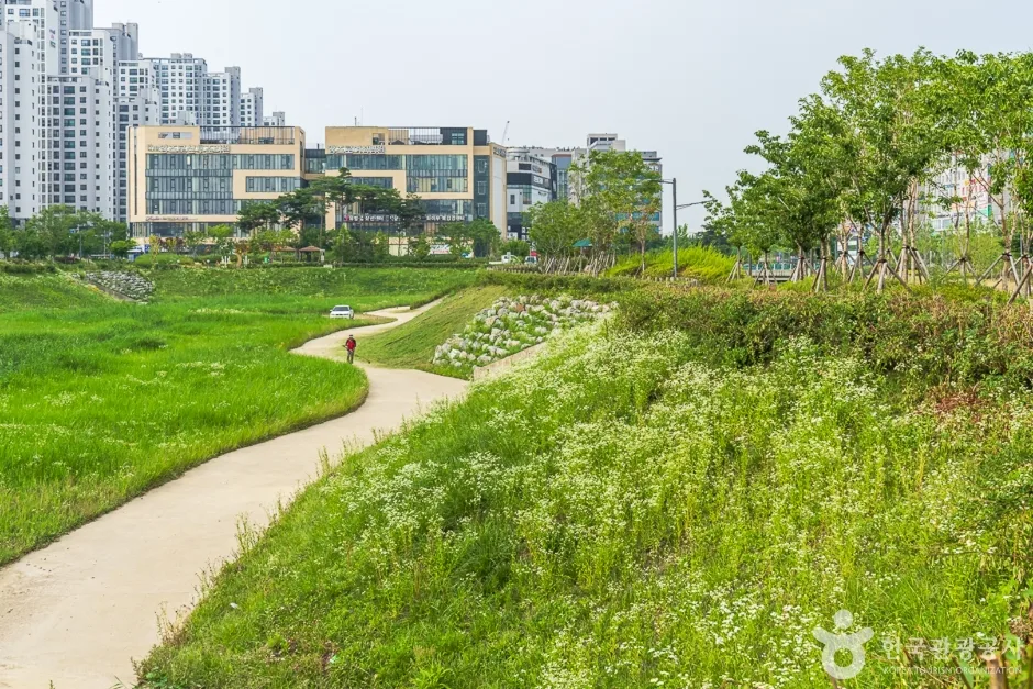 물총새공원 (12)