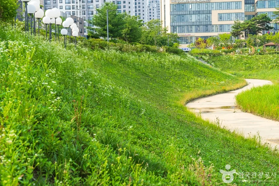 물총새공원 (5)
