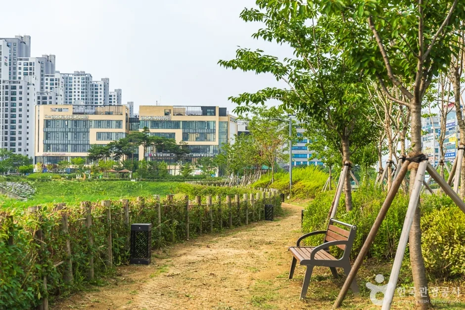 물총새공원 (3)