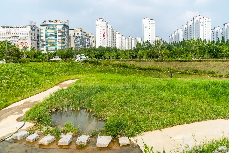 물총새공원 (10)