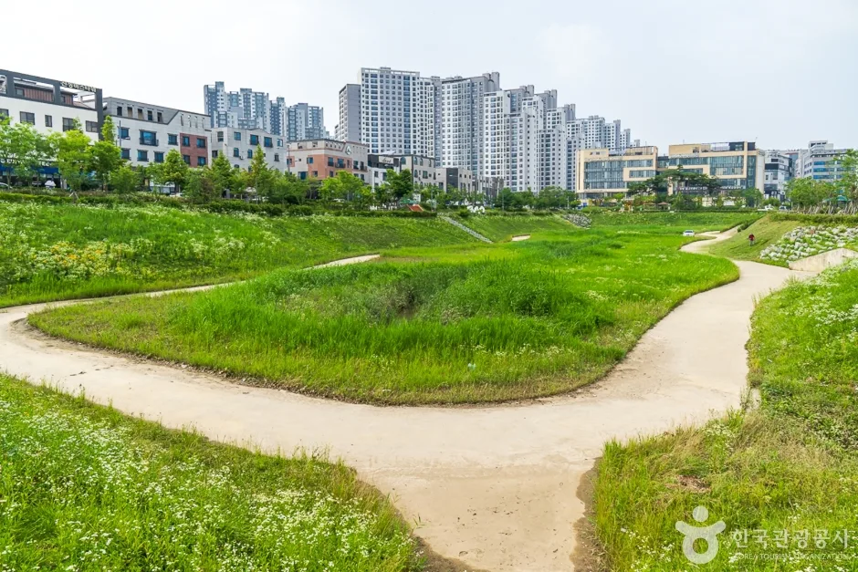 물총새공원 (11)