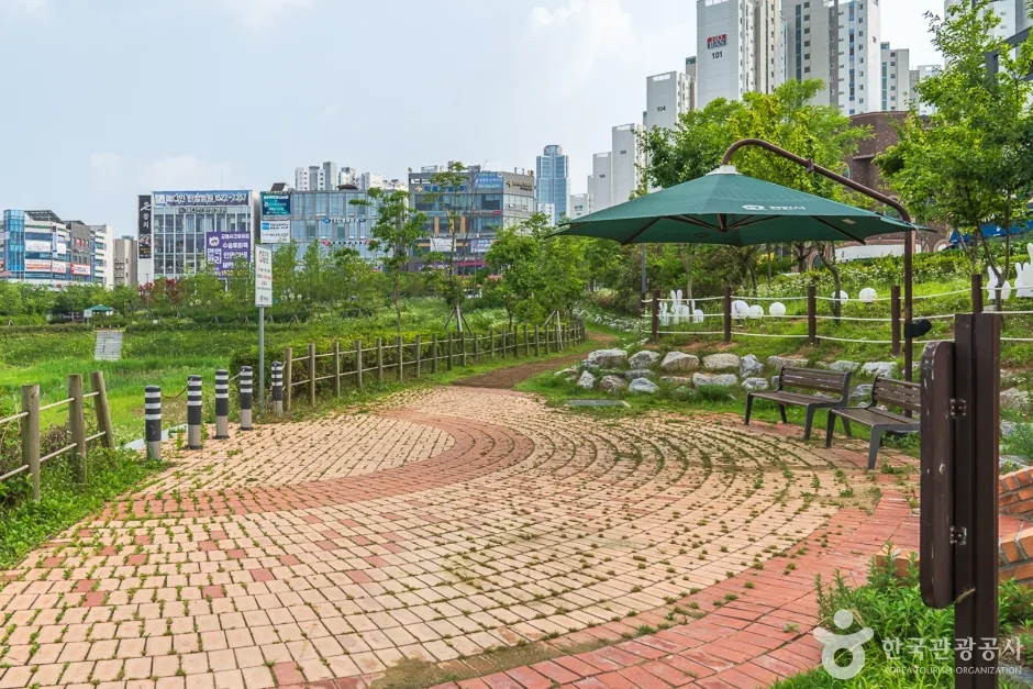 물총새공원 (4)