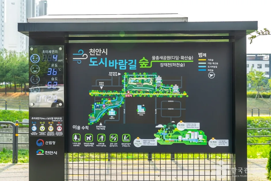물총새공원 (6)