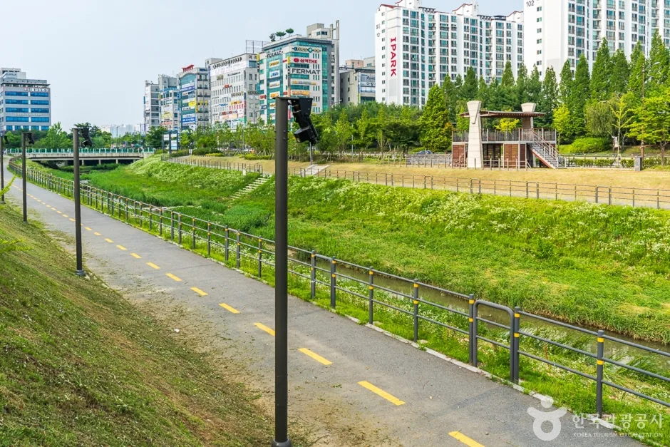 물총새공원 (9)