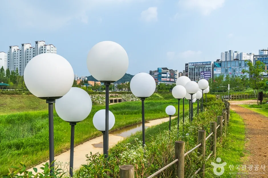 물총새공원 (13)