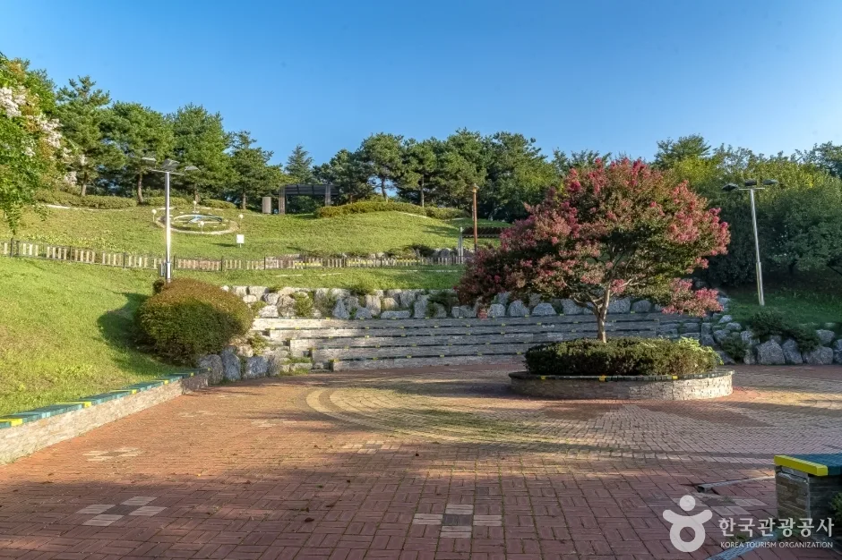 강릉 남산공원 (6)