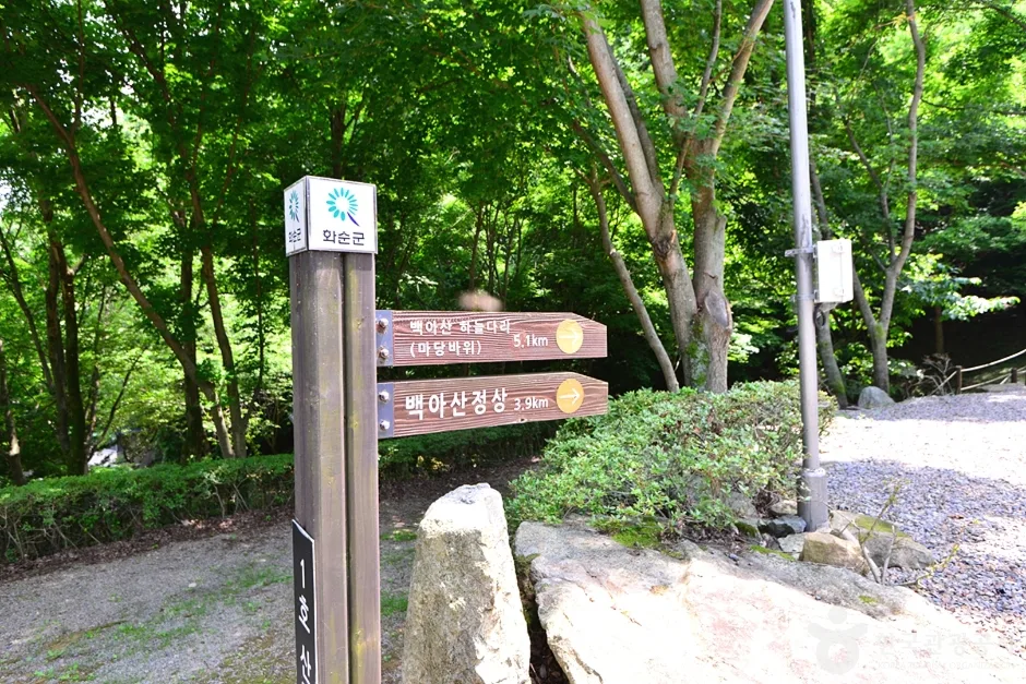 전남_화순_백아산자연휴양림 (8)