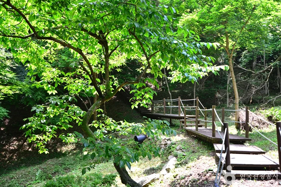 전남_화순_백아산자연휴양림 (14)