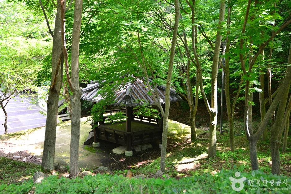 전남_화순_백아산자연휴양림 (13)