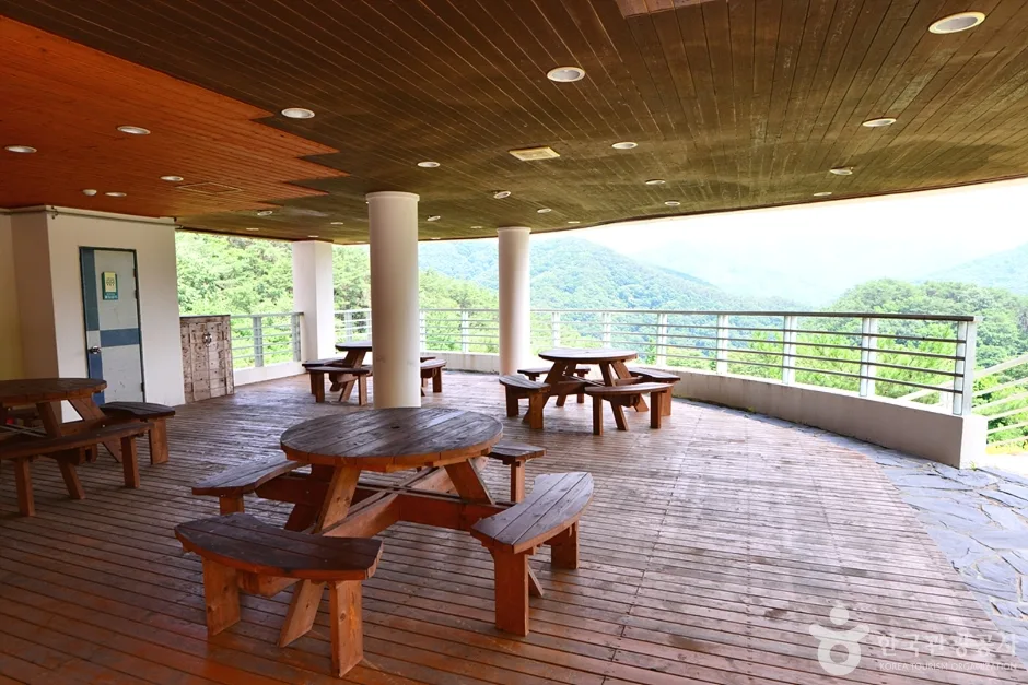 전남_화순_백아산자연휴양림 (9)
