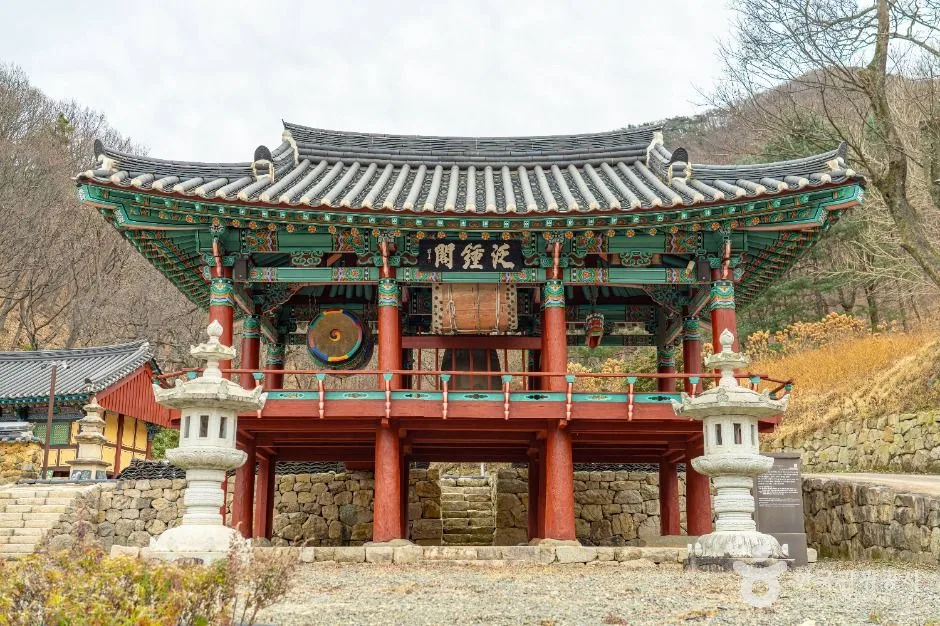 영천_영지사 (1)