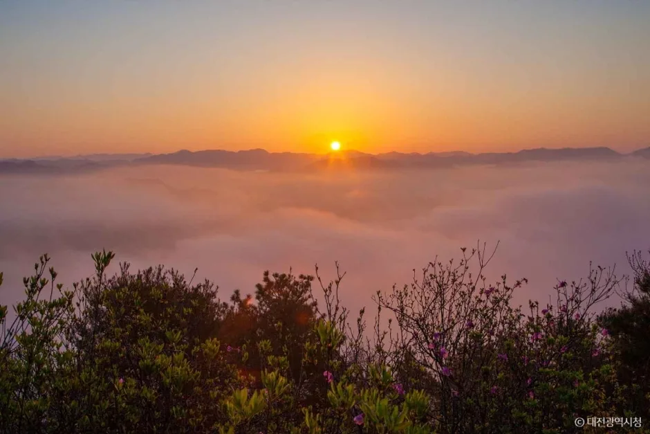 대전_동구_노고산 (6)