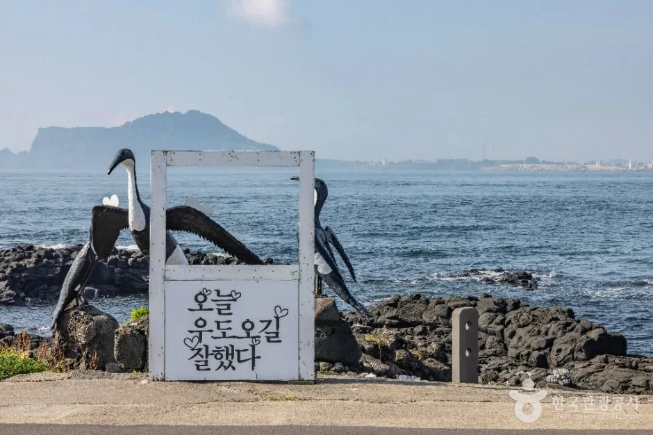 제주_우도(해양도립공원) (3)